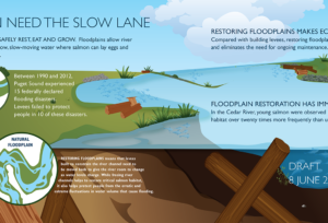 Floodplains Infograph Draft