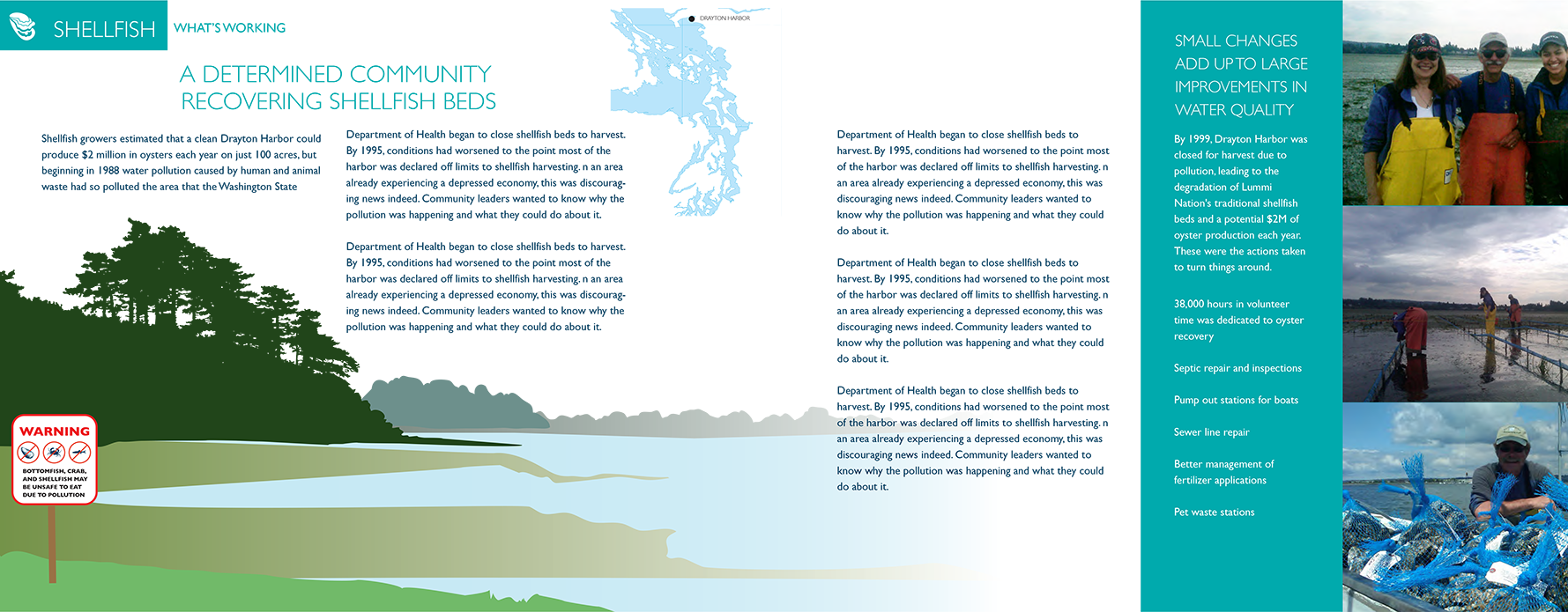 Shellfish Infograph Draft